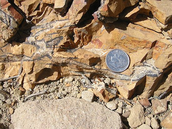 Appears to be cracks in sedimentary structure which were later filled in with silicates.  About 80 meters above main fossil bench at GPS: "U02".