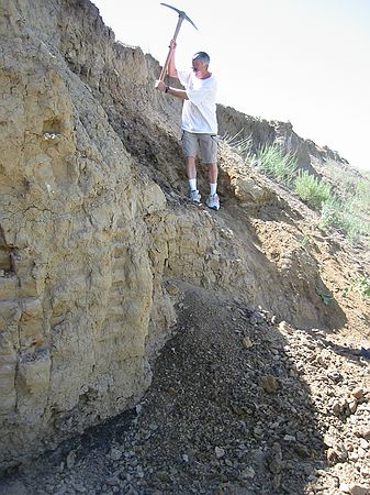 David Irwin (one of the Middle School teachers who was participating in the Radius program), gets "deeply" involved in a fossil leaf excavation.  Cheryl's Festoon locality (Paleocene, D1 sequence).