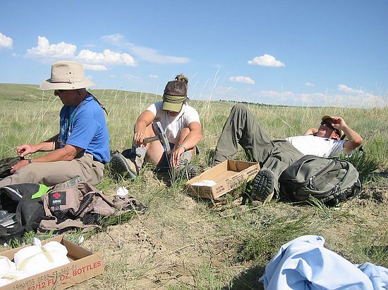 Resting after wrapping the day's finds.  Temps were in the high 90's and clouds were always hiding out on the horizon.  The bad thing about a gully is it doesn't provide any protection from the sun at midday and it completely blocks an wind.