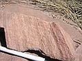 Thin laminations of ancient sand dunes of the Lyons.  If you look closely with a hand lens, you can see the wind deposited sands in each of the thin sheets with small grains at the bottom of each and larger grains at top (very fine up to medium at top of lamination).