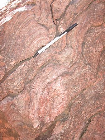 Lykins Formation: consists of red, thin-bedded, sand siltstones and shales, including  dolostone and limestone layers. The image here shows layers of fossil algae known as Stromatolites. The limestone, dolostones, siltstones, and shales formed in a marine environment.\n\nThe stromatolites are present in the Forelle member (dolostone) of the Lykins.  These algal mats are very calcareous and fizz intensively with a drop of hydrochloric acid (HCL).  This is the side view of a very large stromatolite showing the thin laminations.  [Stromatolites: Structures produced by cyanobacteria by entrapment of sediment grains on the sticky surfaces of the bacteria.]