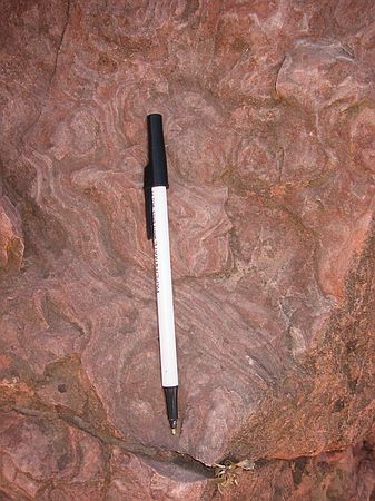 Top of stromatolite in Lykins formation, Forelle member.