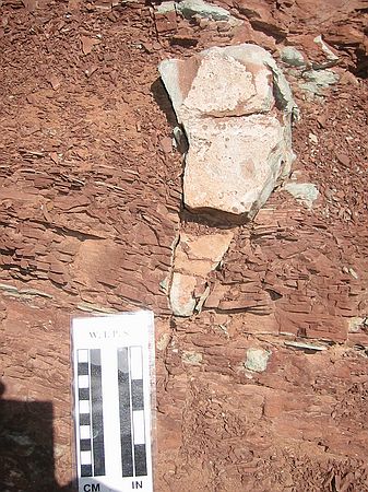 Upper Lykins formation: Another view of the previous mudcrack.