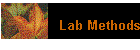 Lab Methods