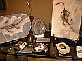 Two Keichousaurus hui's, Triassic\nTrilobite\nEtc.\nForge Fossils, England
