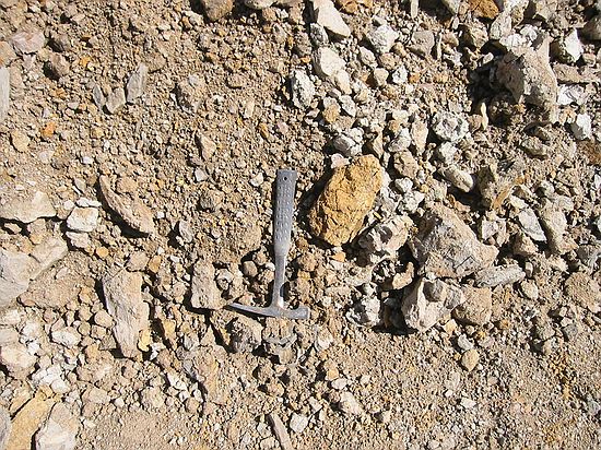 Pile where we found most fossils.  The light gray chunks were still on the surface, but had come from the backhoe digging the trench for the pipe.