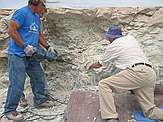 Mike DeLong "moving mountains of rock" with one of the hand held jackhammers.  Mark Marciniak (DMNH lab volunteer) keeping large debris from hitting the dinosaur bone.