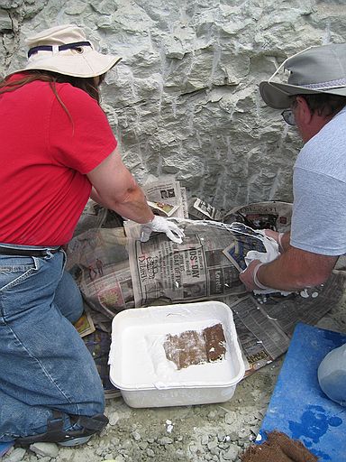 Process of jacketing: (1) Cover bone with wet newspaper before applying burlap/plaster strips.