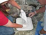 Process of jacketing: (2) Applying burlap/plaster strips, being careful to cover bone only down to the level of the rock pedestal.