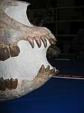 Hyracodon nebraskensis\nMiddle Oligocene\nWhite River Badlands\nSouth Dakota