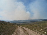 "Controlled" burn on Forest Service land.
