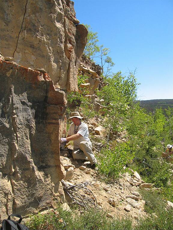 Near top of outcrop.  Fossil leaves found at base where Tom is digging.
